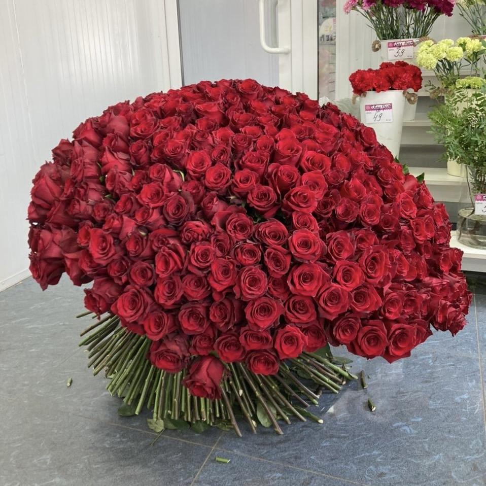 Букеты из красных роз 80 см (Эквадор) (articul   199980)