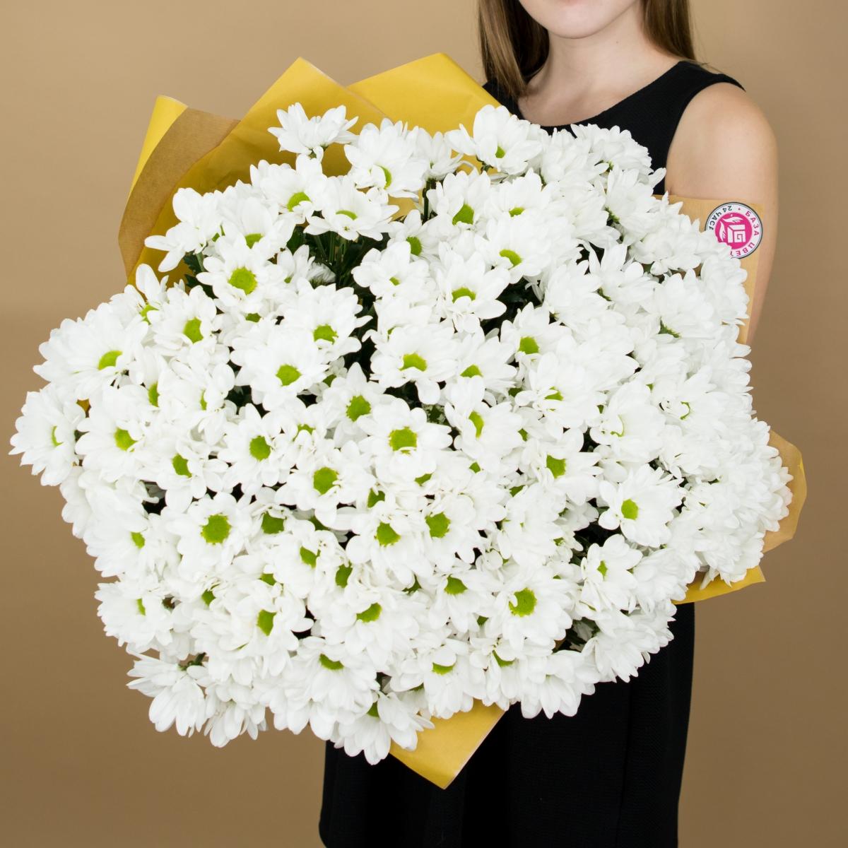 Хризантема белая (ромашка) articul  2970