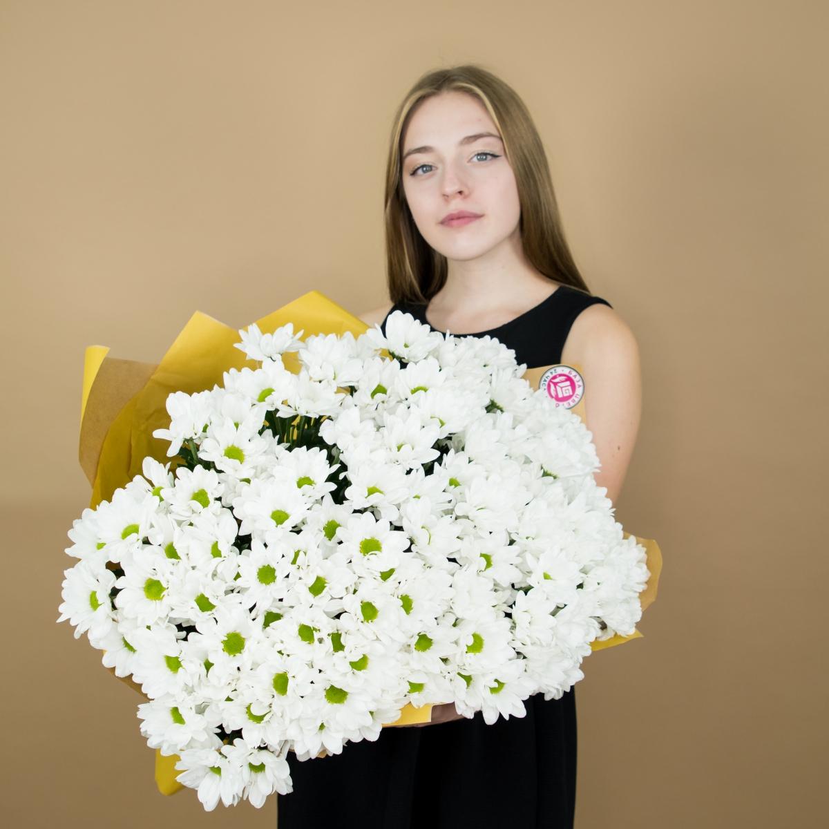 Хризантема белая (ромашка) articul  2970