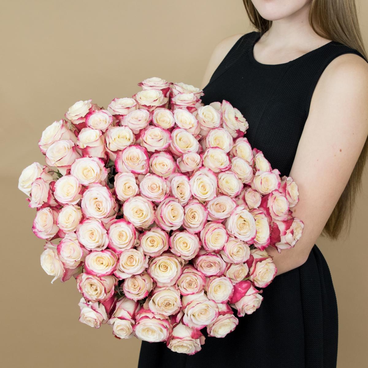 Розы красно-белые (40 см) Эквадор код товара  495