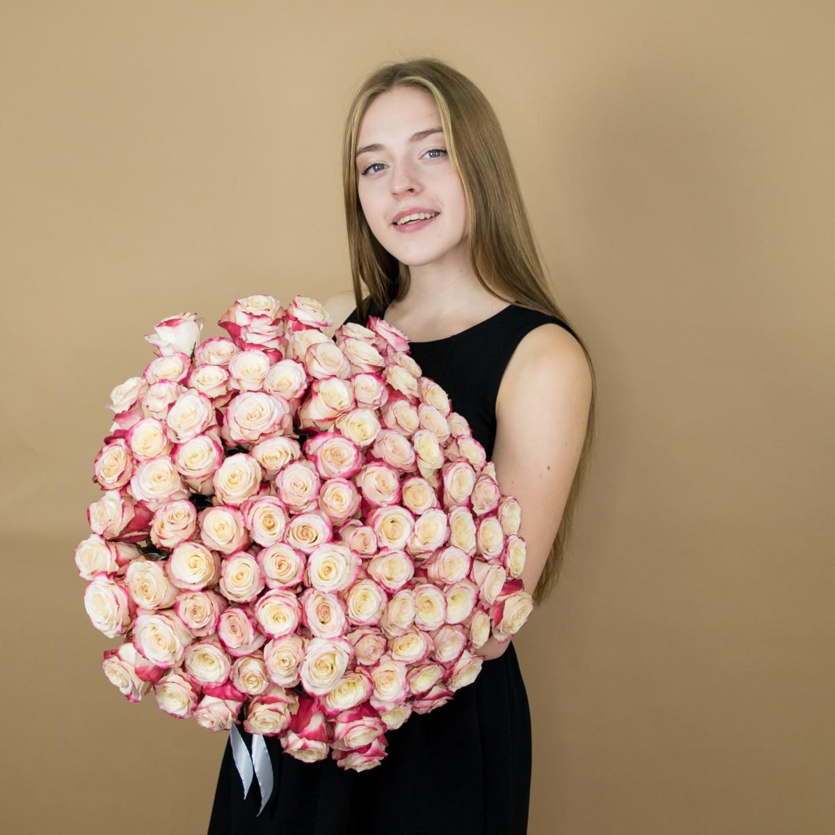 Розы красно-белые (40 см) Эквадор код товара  495