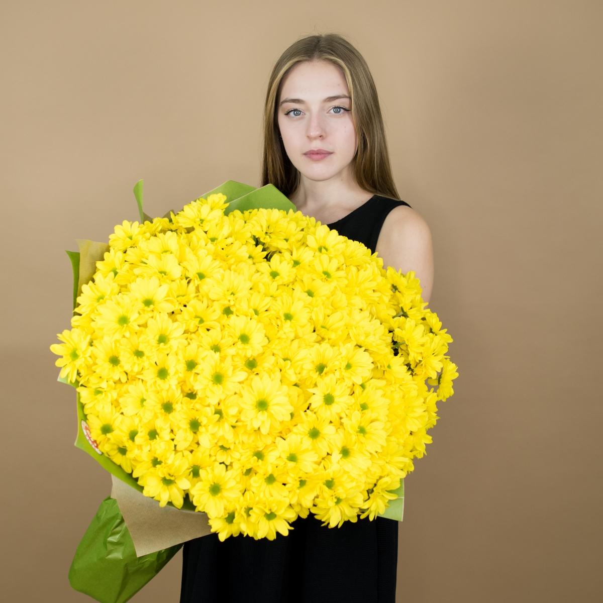 Хризантема кустовая желтая articul  91245