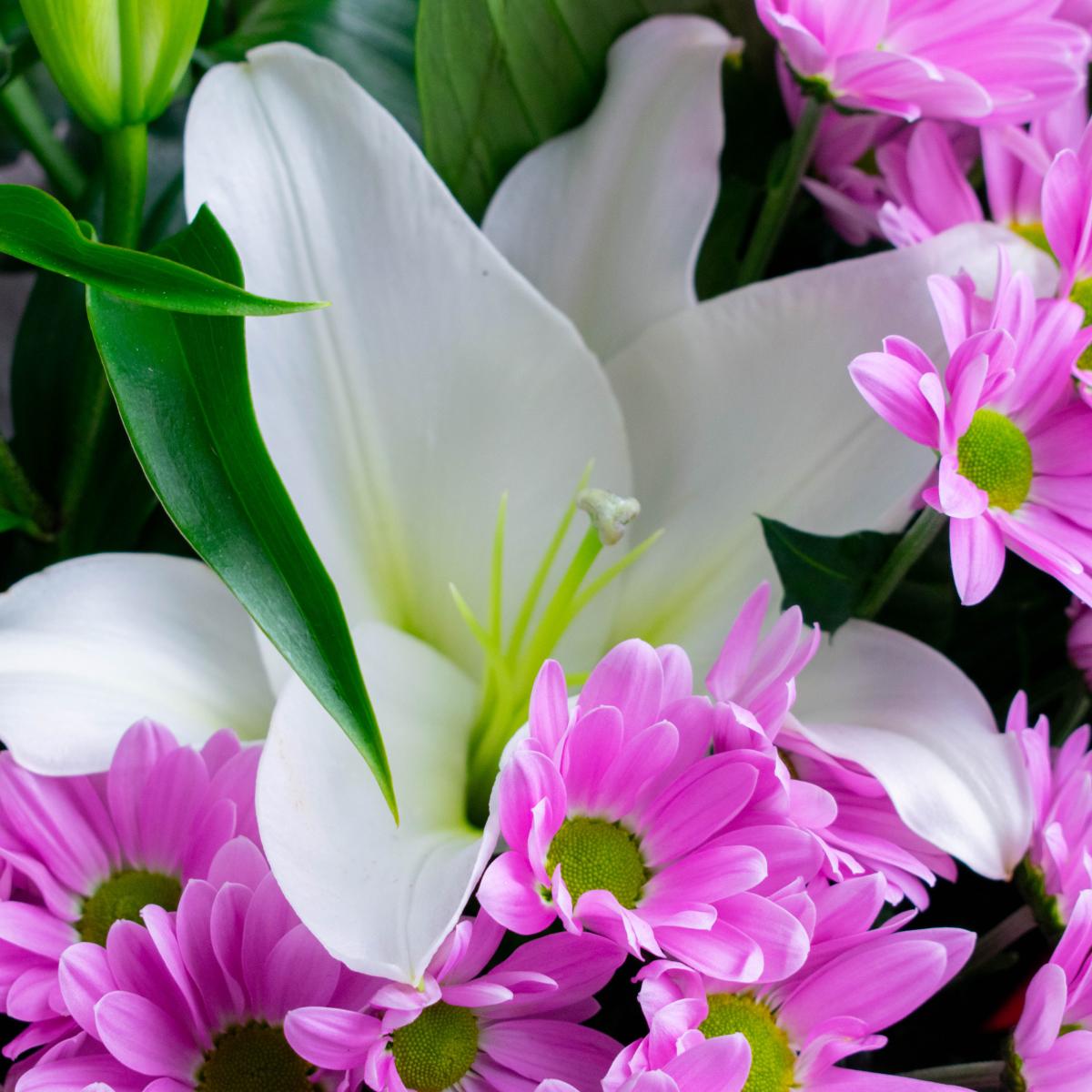 3 лилии с фиолетовой хризантемой