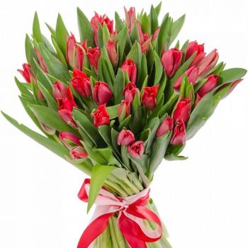 Красные тюльпаны 25 шт Артикул  143550